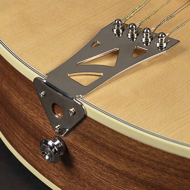 Bouzouki Richwood RIBZ-40