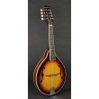 Mandolīna Richwood RMA-60-VS