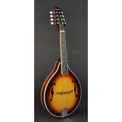 Mandolīna Richwood RMA-60-VS Mandolīna Richwood RMA-60-VS