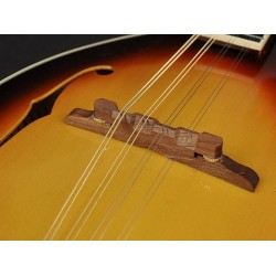 Richwood Mandolin RMA-60-VS