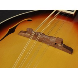 Mandolīna Richwood RMA-60-VS Mandolīna Richwood RMA-60-VS