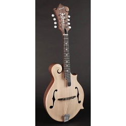 Richwood F-style mandolin RMF-80-NT