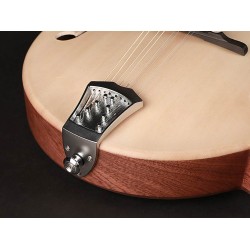 Mandolīna Richwood RMF-80-NT Mandolīna Richwood RMF-80-NT