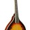 Mandolīna Richwood RMA-60-VS