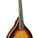 Mandolīna Richwood RMA-60-VS