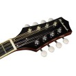 Mandolīna Richwood RMA-60-VS