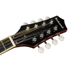 Mandolīna Richwood RMA-60-VS
