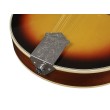 Mandolīna Richwood RMA-60-VS