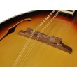 Mandolīna Richwood RMA-60-VS