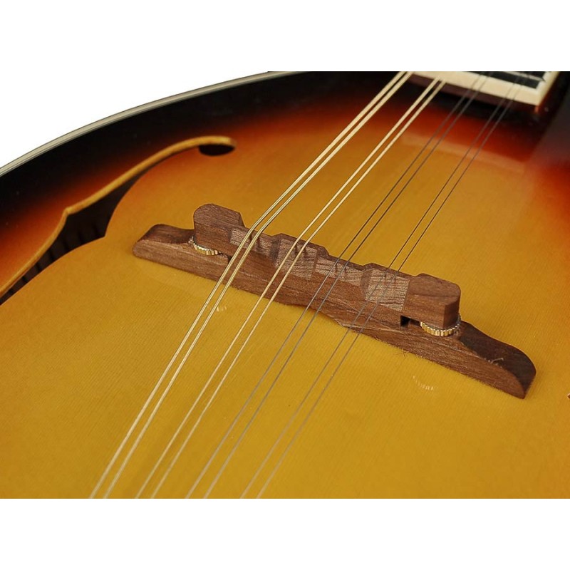Mandolīna Richwood RMA-60-VS