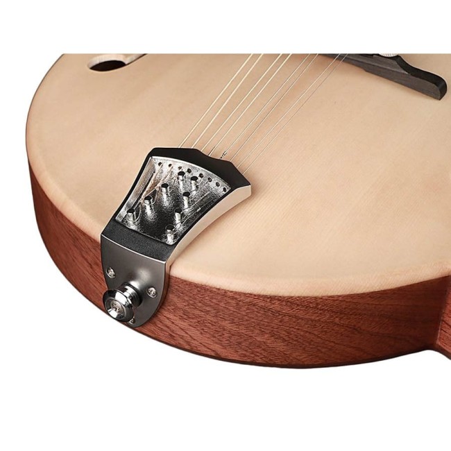 Mandolīna Richwood RMF-80-NT