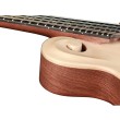Mandolīna Richwood RMF-80-NT