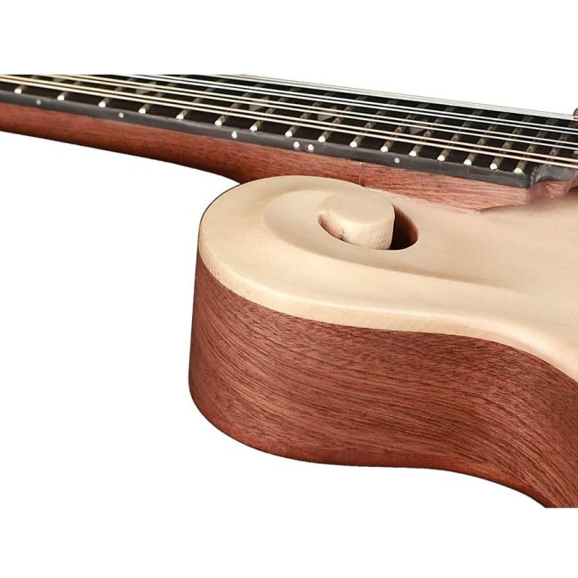 Mandolīna Richwood RMF-80-NT