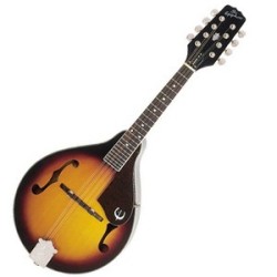 Mandolin Bags and Cases