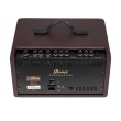 Akustiskās ģitāras pastiprinātājs Ibanez T30II
