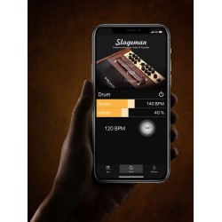 Ģitāras pastiprinātājs Nux Stageman II AC-80 Ģitāras pastiprinātājs Nux Stageman II AC-80