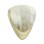 Kaula mediators Timber Tones TB-White-Horn