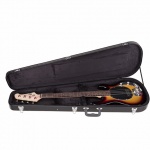 Bass Guitar Hard Case DHC-EB