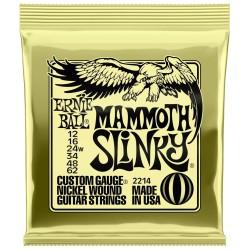 Elektriskās ģitāras stīgas Ernie Ball 2214 (12-62)
