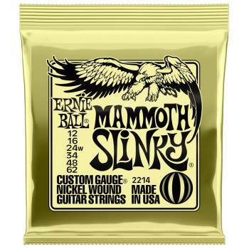 Elektriskās ģitāras stīgas Ernie Ball 2214 (12-62)