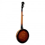 SX 5-string banjo BJ455VS