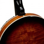 SX 5-string banjo BJ455VS