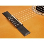 Valencia Classic Guitar VC204