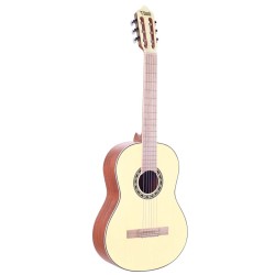 Valencia Classic Guitar VC354-VR