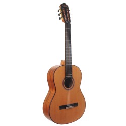 Valencia Classic Guitar VC714