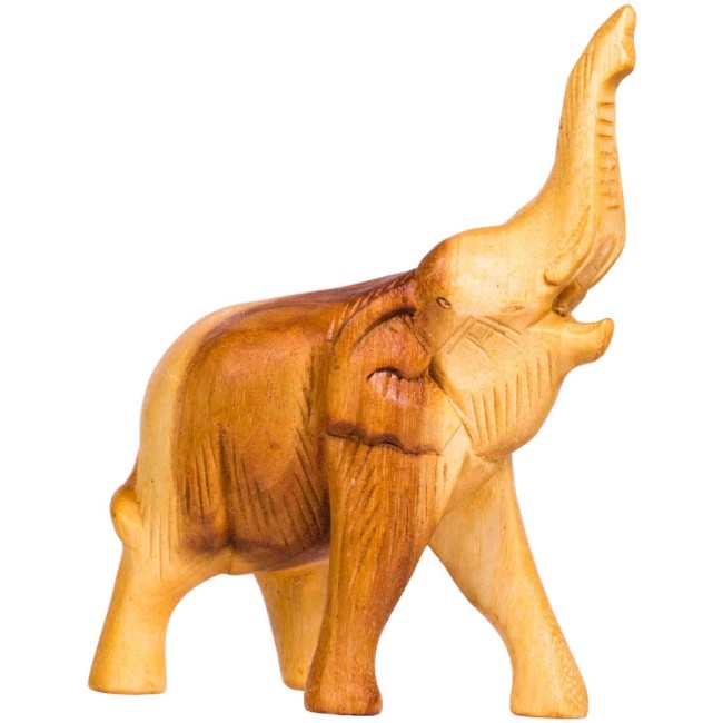 Svilpe - zilonis Afroton AEL003