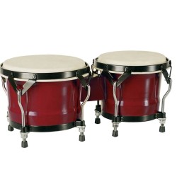 Bongo