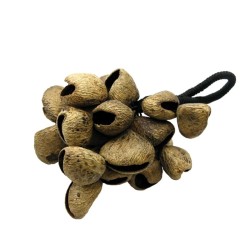Seedpod Rattle - Wrist Shaker SR-4