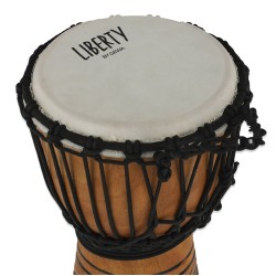 Džamba Gewa LS831000 Džamba Gewa LS831000