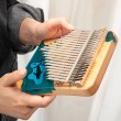 Kalimba Hluru 21 Whale