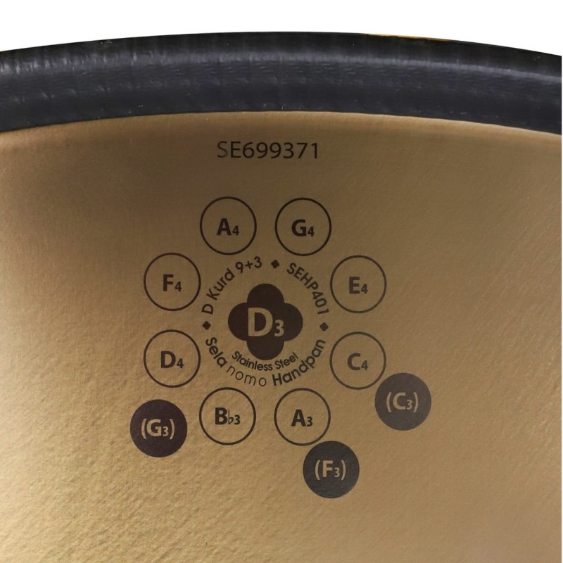 Hangs (Handpan) Sela D Kurd 9 +3 SEHP401 Hangs (Handpan) Sela D Kurd 9 +3 SEHP401