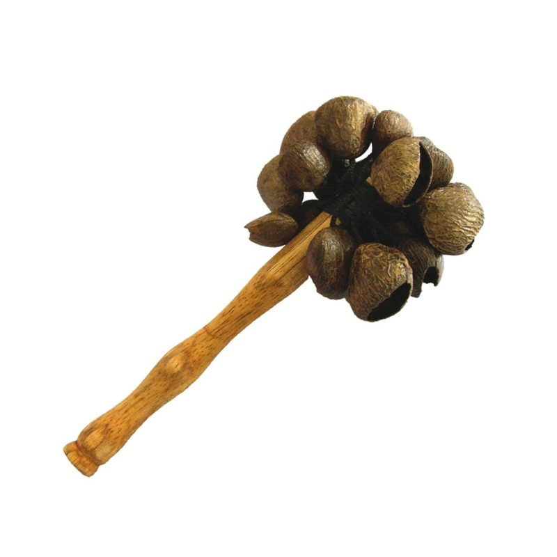 Pangi grabulis Rod-Rattle Pangi grabulis Rod-Rattle