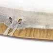 Šamaņu bungas Terre Shaman-GoatR-50 (50cm) Šamaņu bungas Terre Shaman-GoatR-50 (50cm)