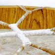 Šamaņu bungas Terre Shaman-GoatR-50 (50cm) Šamaņu bungas Terre Shaman-GoatR-50 (50cm)