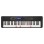 Sintezators Casio LK-S450C7