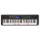 Casio Portable Keyboard LK-S450C7