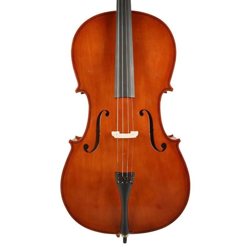 1/2 Leonardo Cello LC-1012