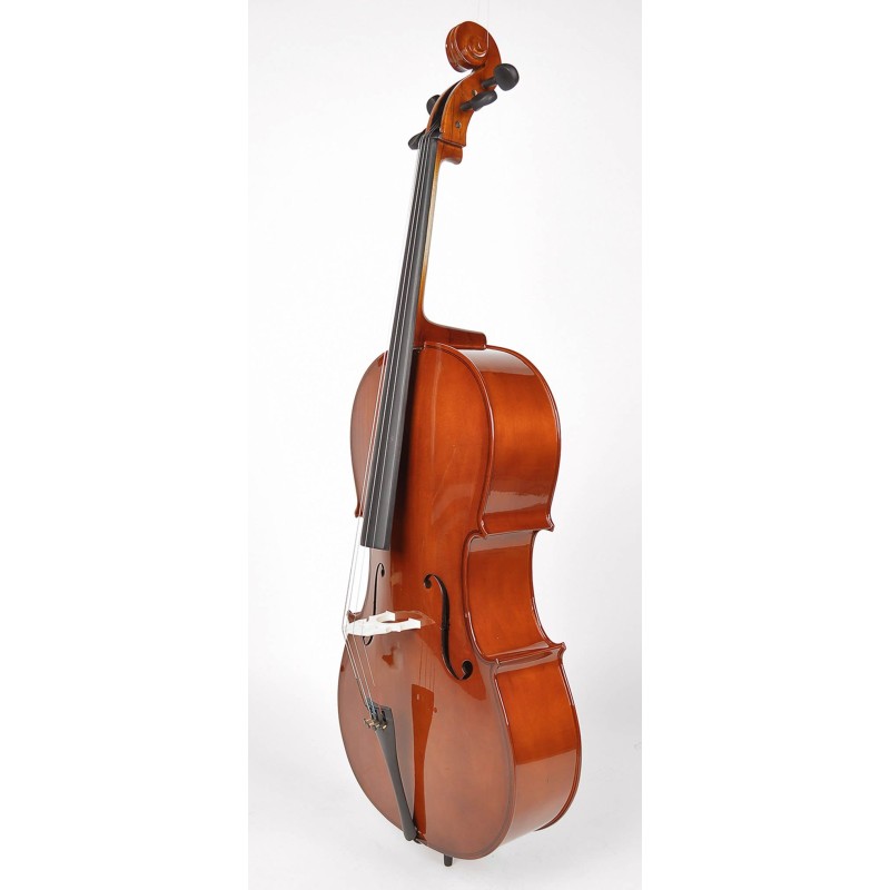 1/2 Leonardo Cello LC-1012