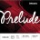 Vijoles stīgas D'Addario Prelude J810-44M