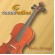Violin String Set Soundsation SV706