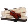4/4 Vijole Virtuoso Student VSVI-44
