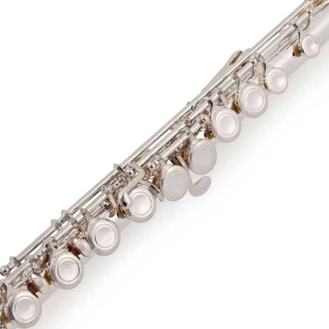 Flauta Trevor James 5x 3005EW