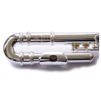 Flauta Trevor James 10x 3042CD EASLRW Flauta Trevor James 10x 3042CD EASLRW