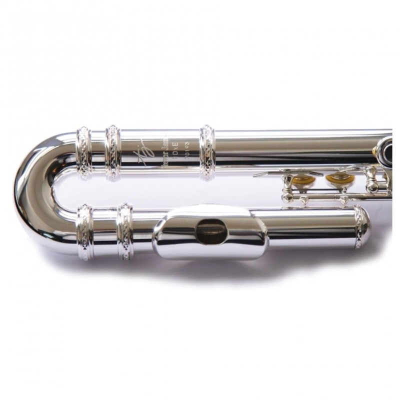 Flauta Trevor James 10x 3042CD EASLRW