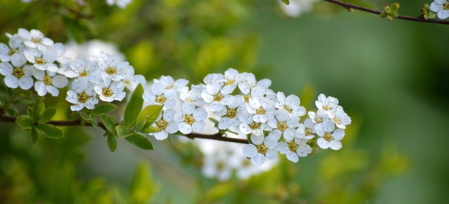 Darba laiks maija svētkos