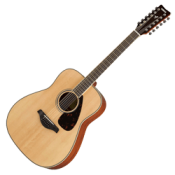 12-string Acoustic Guitars